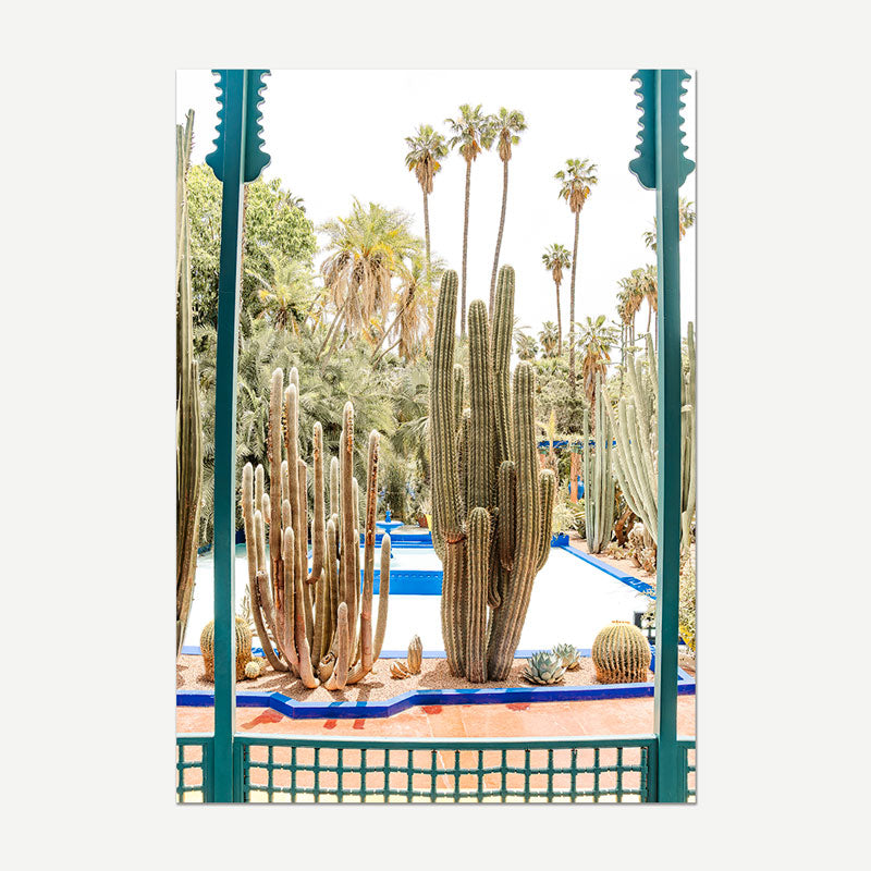 Cactus garden with a pool and palm trees in the background