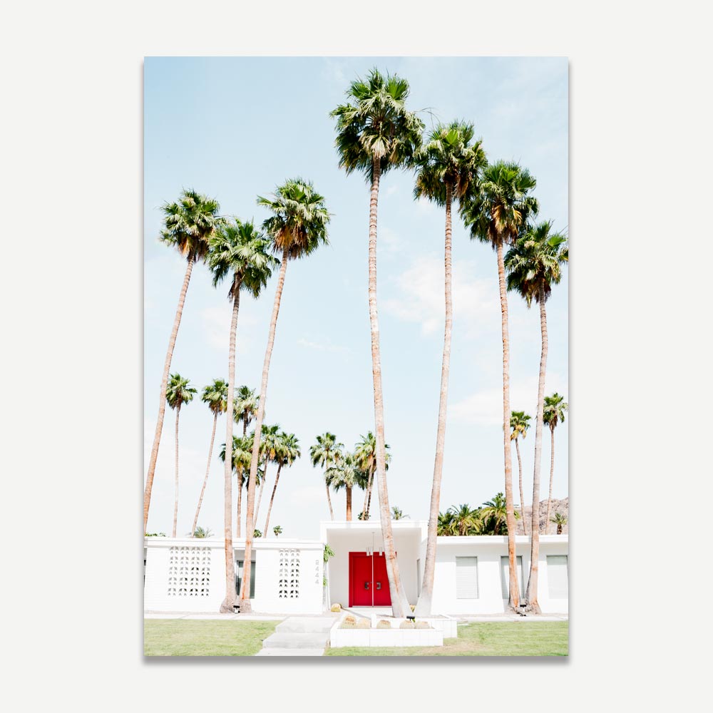 Mid Century Modern Home in Palm Springs Adorn with Palm Trees