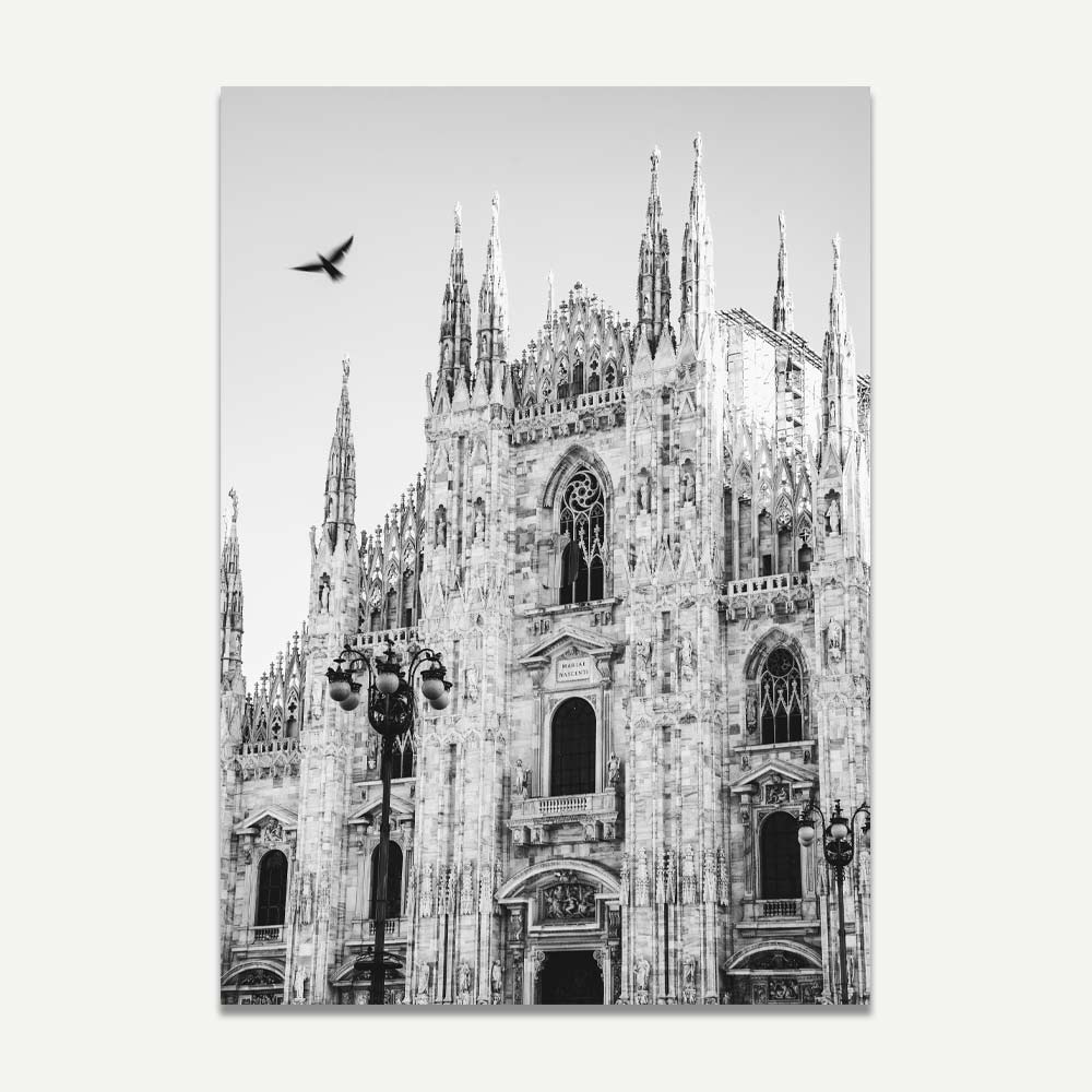 Black and white photograph of Milan Cathedral with flying pigeon – elegant architectural wall art for timeless Italian home decor.