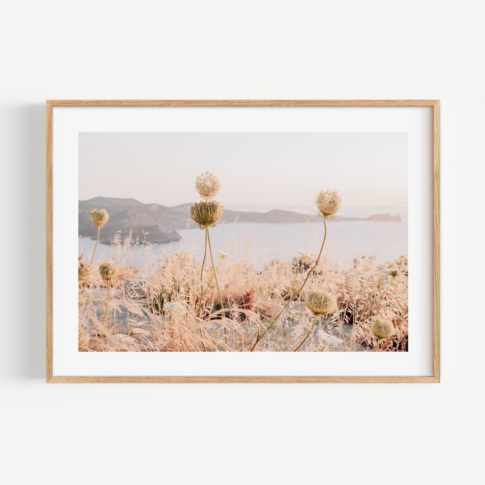 Milos Wild Flowers L