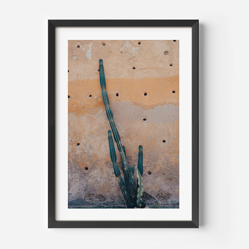 Framed artwork of a cactus against a textured wall on a white background