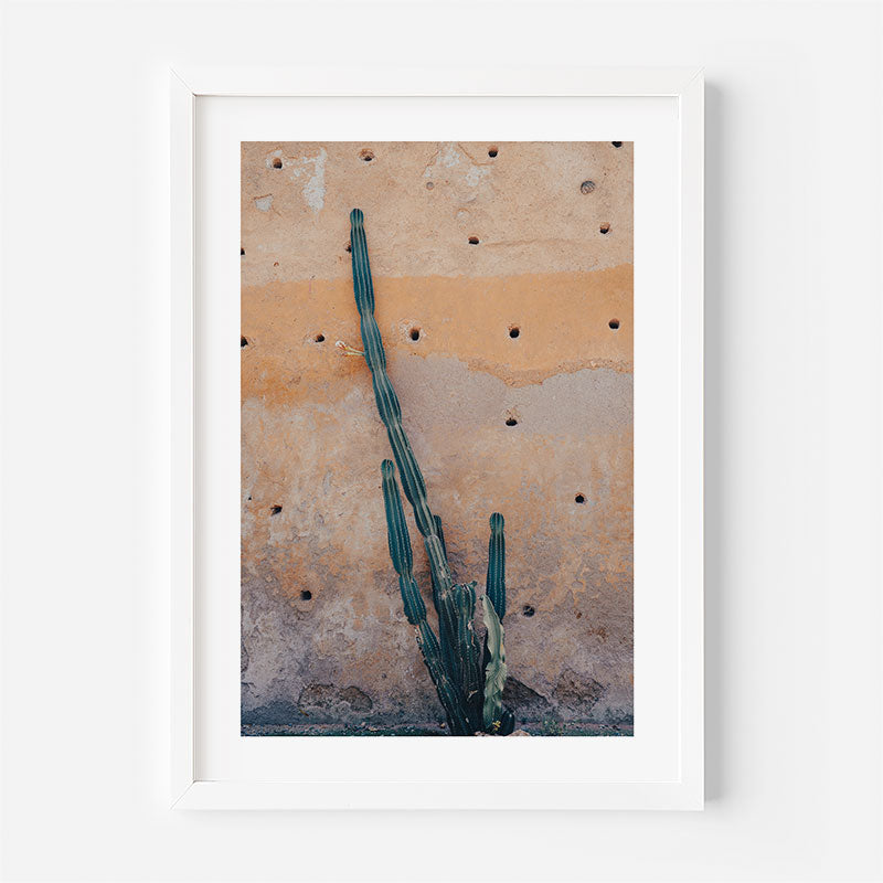 Framed photograph of a cactus against a textured wall.
