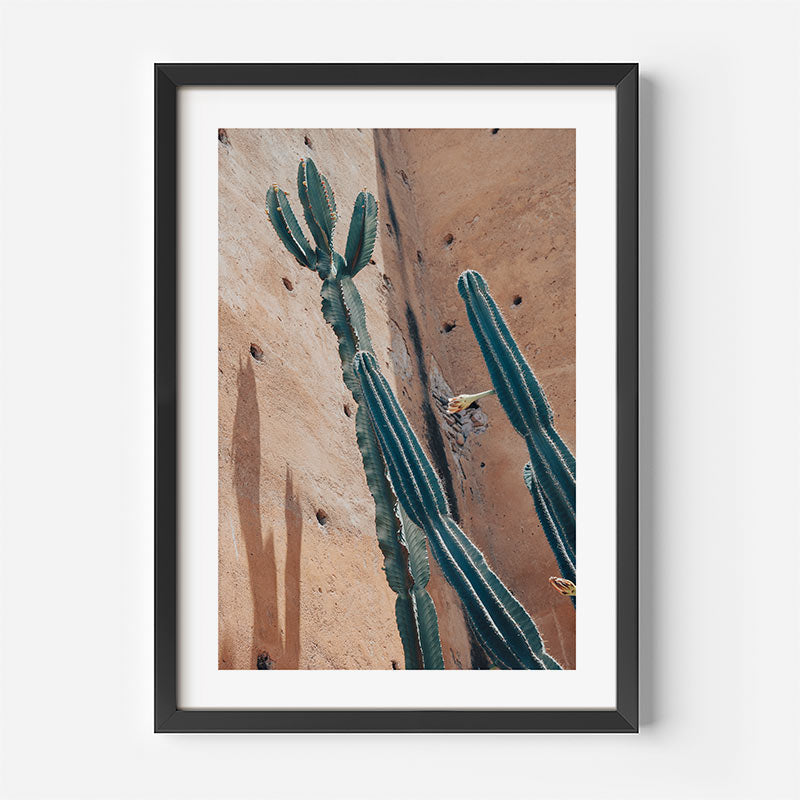Framed artwork of a cactus against a textured wall on a white background