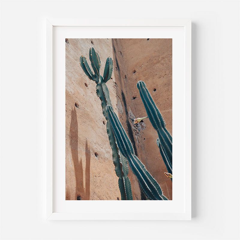 Framed artwork of a cactus against a textured wall.