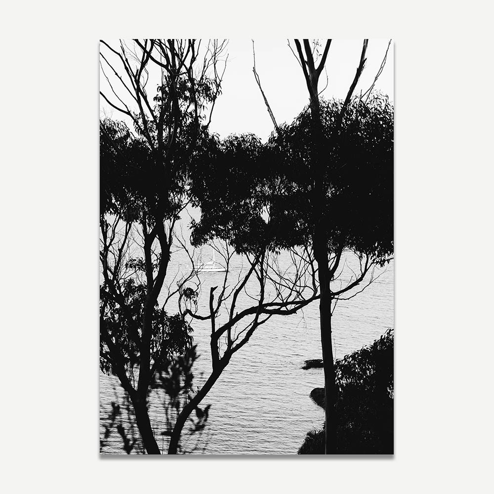 Set of 3 - Sail Away, BW 12 Apostles & BW Sunset Marina