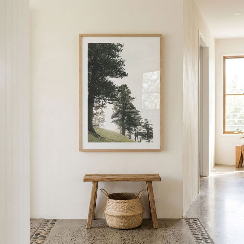 Norfolk Pine Art Print