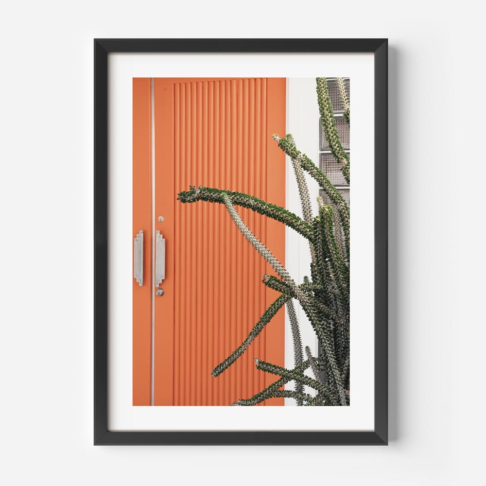 Fine art prints of an orange door and cactus plant in a black frame. Enhance your wall decor with this unique piece.