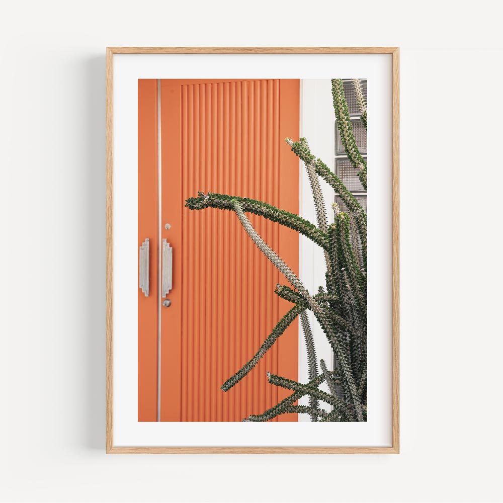 Wall art featuring an orange door and cactus plant in a folden frame. A captivating addition to any art gallery or home decor.