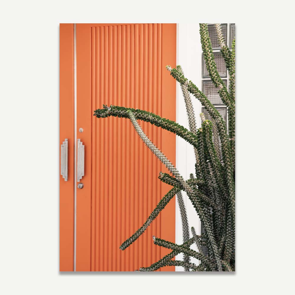 Experience the beauty of Orange Door home with Oblongshop's framed artwork - orange door and cactus plant in a frame.