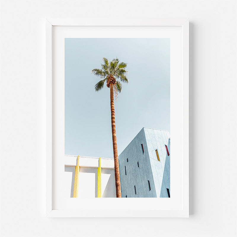 Modern Palm Art Print