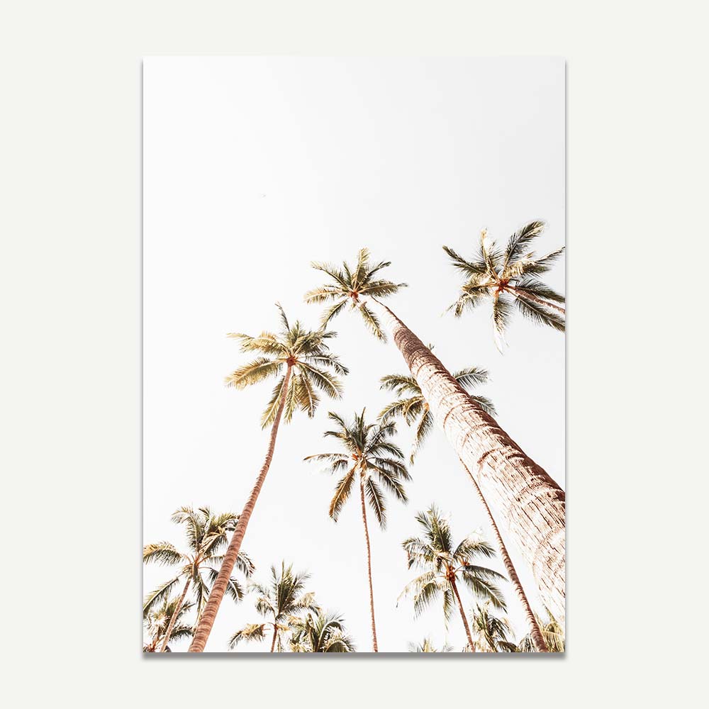Puerto Vallarta Palms Art Print