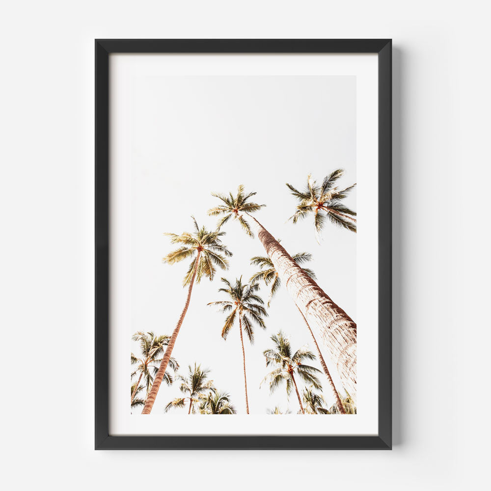 Puerto Vallarta Palms Art Print