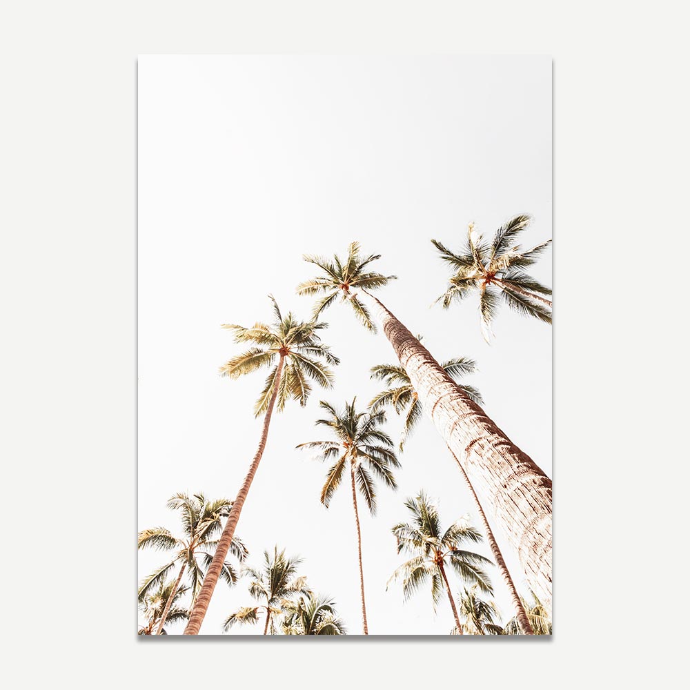 Set of 2 - Mexico Palms I - Palms PV I