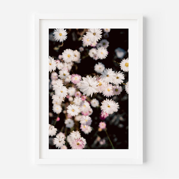 Paper Daisy II