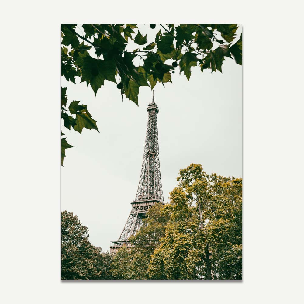The wall art of the Eiffel Tower photographed between trees in moody green tone for home decor or paris lovers.