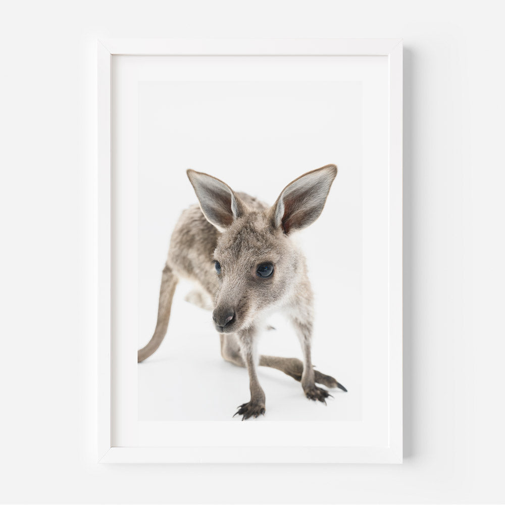 Baby Joey Art Print