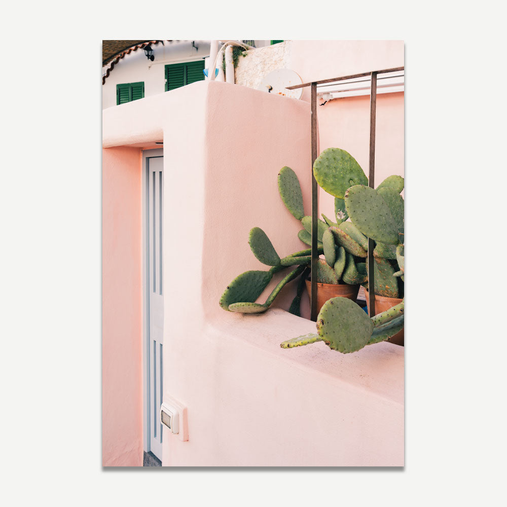Procida Cactus Print with vibrant architecture and native plants – bold Mediterranean wall art for a colourful, coastal-inspired home.