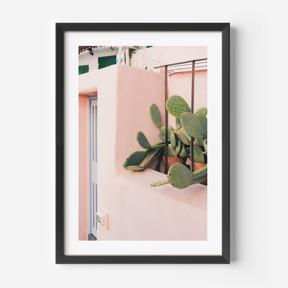 Procida Cactus Art Print