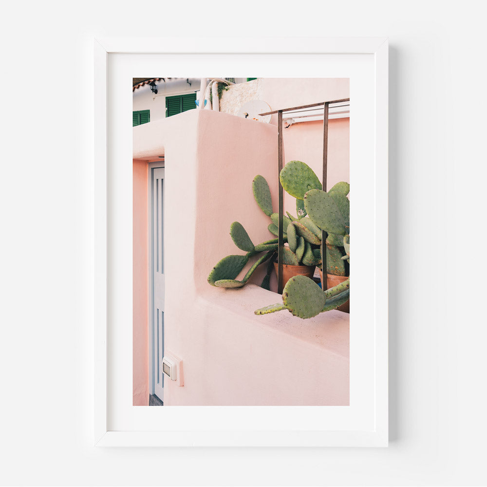 Procida Cactus Art Print