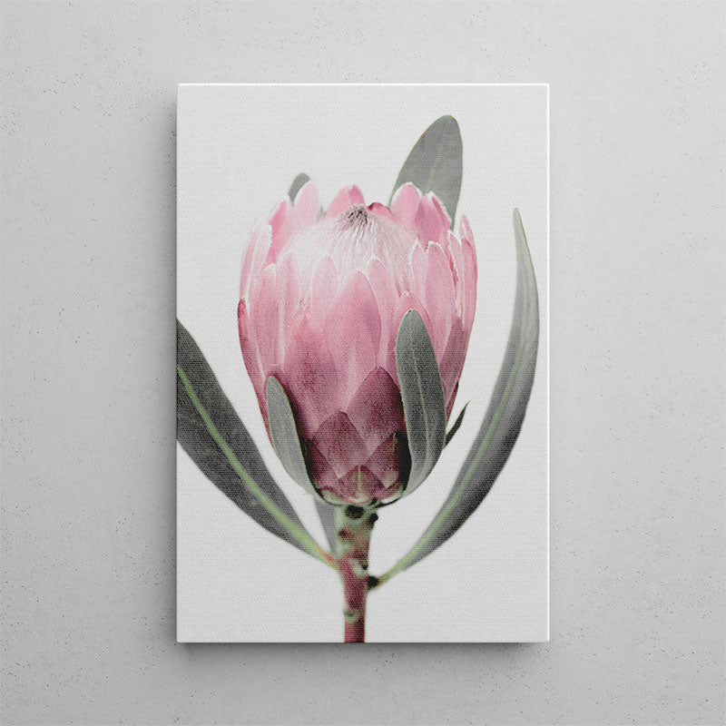 Pink flower with green leaves on a light gray background