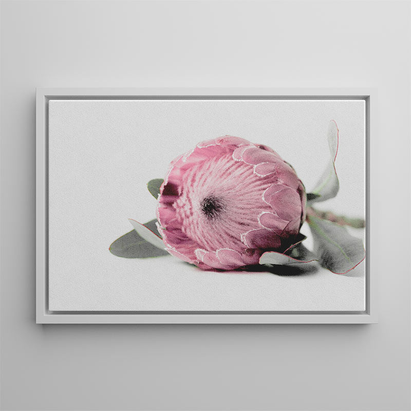 Framed artwork of a pink flower on a gray background