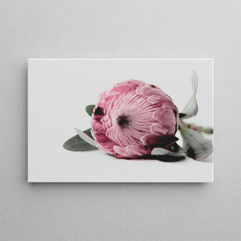 Pink flower with green leaves on a white background