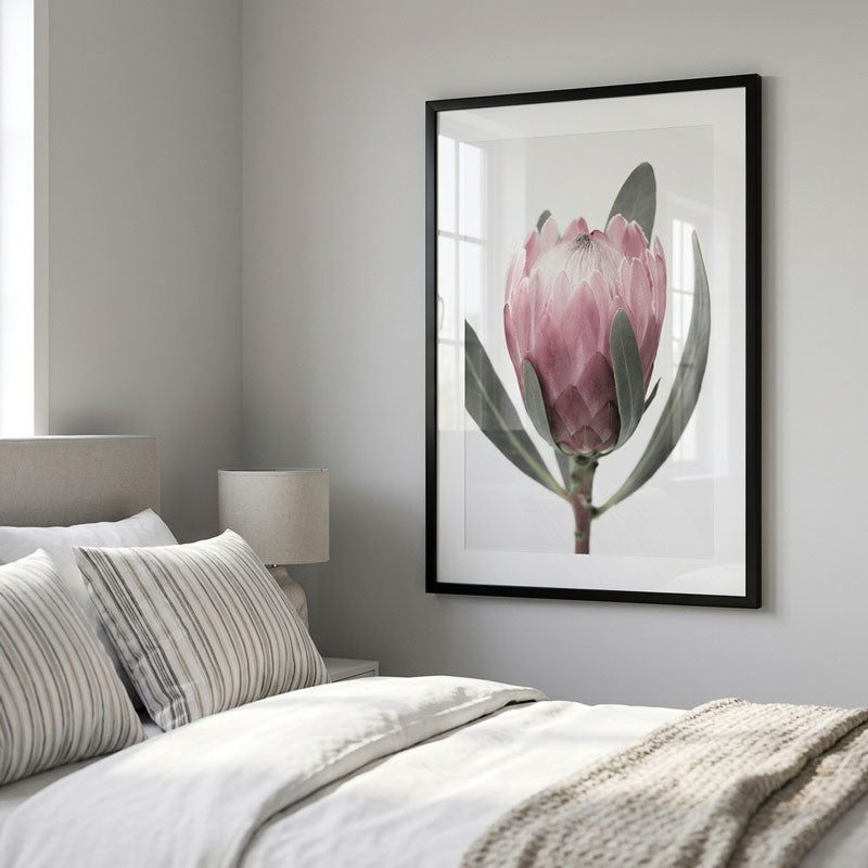 PINK ICE PROTEA ART PRINT