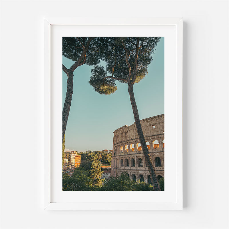 A framed art print featuring a scenic photograph of the Colosseum in Rome, framed by tall pine trees under a clear blue sky, presented in a white frame against a light gray wall.