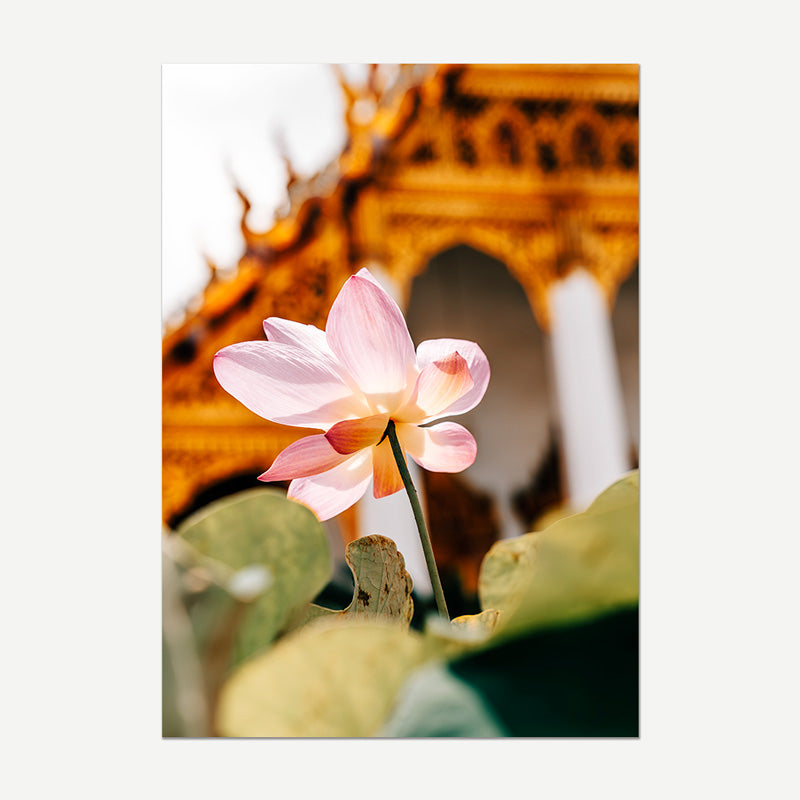 A vertical photographic print featuring a delicate pink lotus flower in sharp focus in the foreground, with a softly blurred golden temple structure in the background and green lily pads at the bottom. The print is centered on a light gray background.