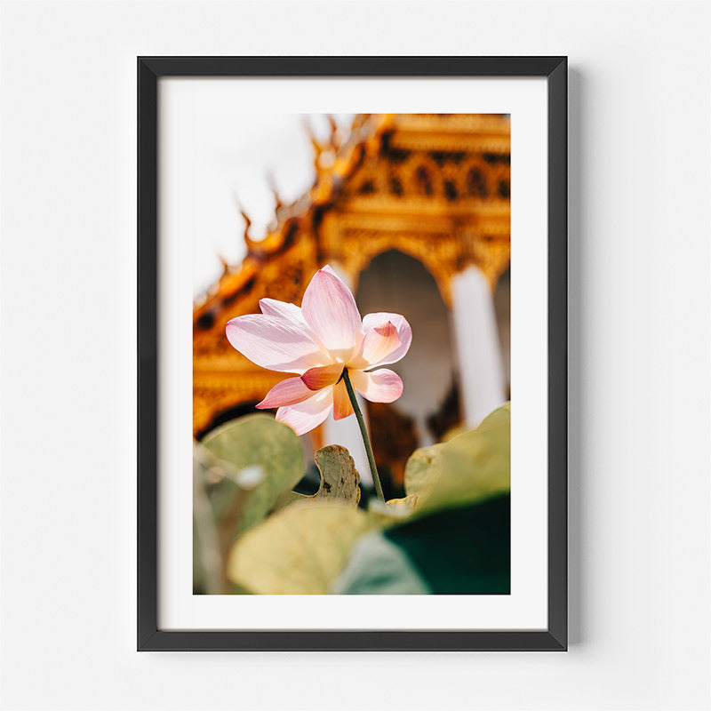 A framed art print featuring a pink lotus flower in the foreground with a golden temple structure blurred in the background, presented in a black frame with a white mat against a light gray wall.