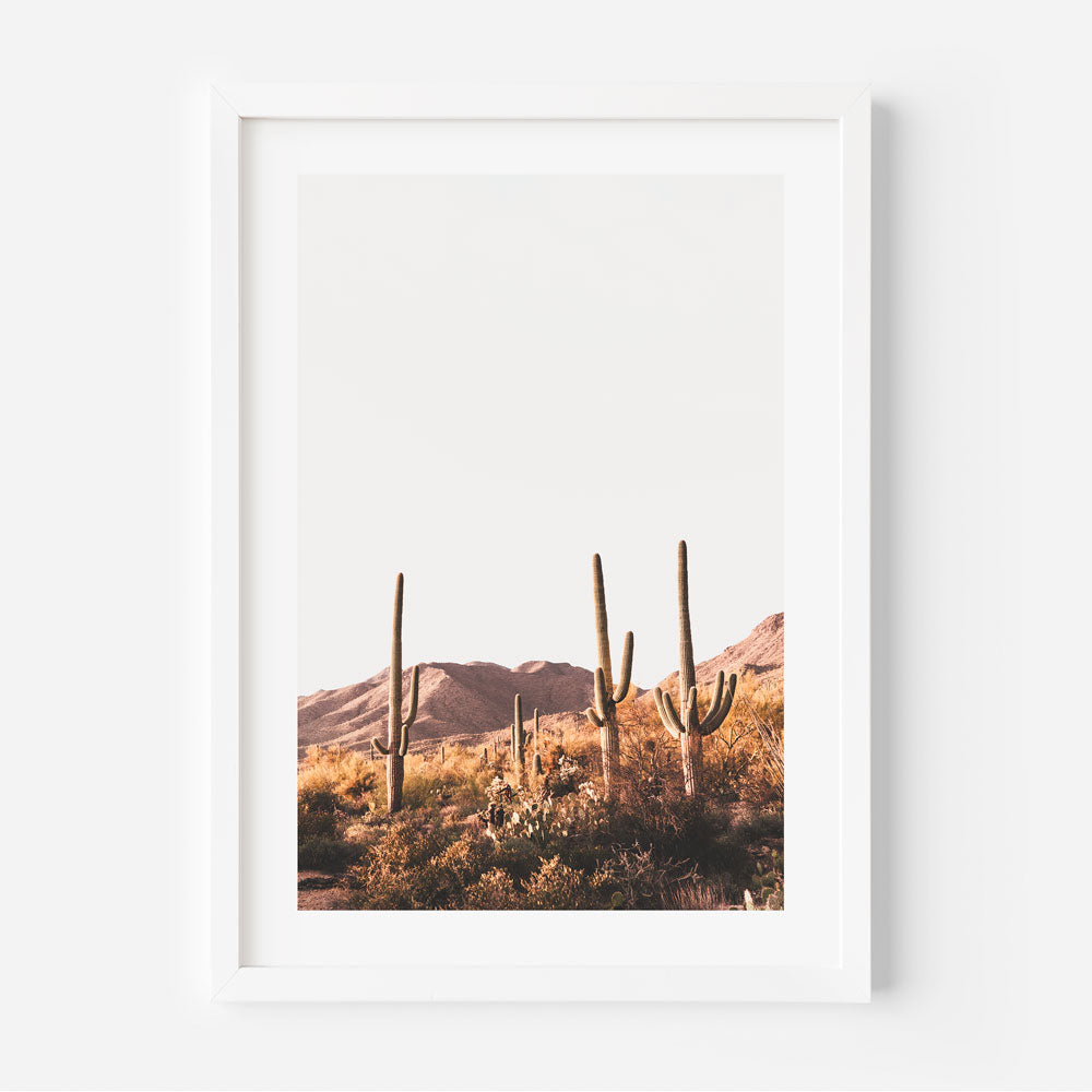 Set of 3 - Saguaro Park I,II & III