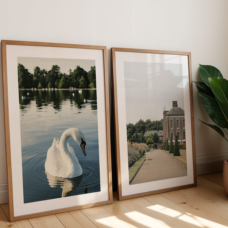 Two framed pictures of a swan and a landscape on a wooden floor.
