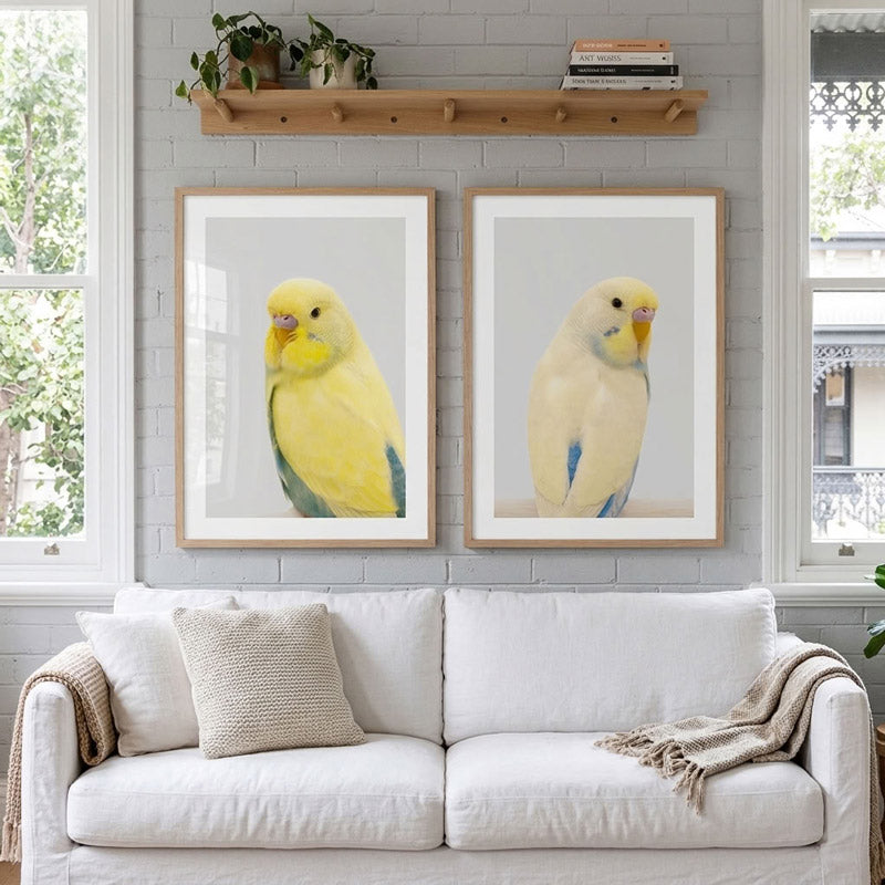 Set of 2 Budgie Art Prints - Yellow Face Green Budgie and Yellow Face Blue Budgie