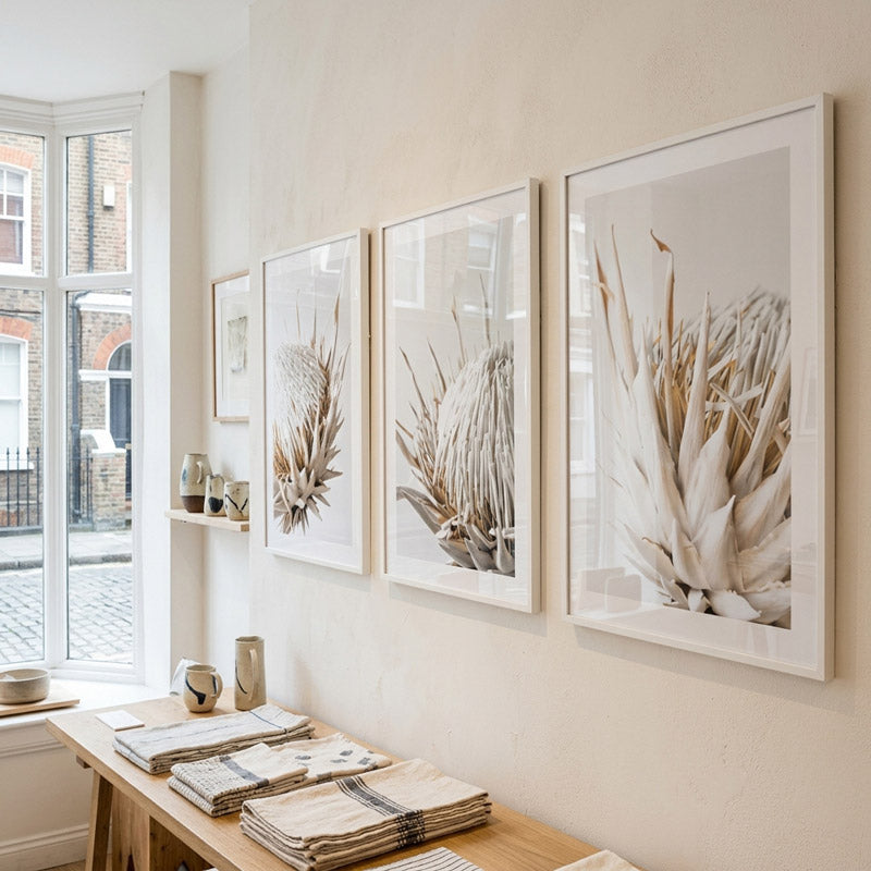 Three framed botanical prints on a wall with a window and table in the foreground.