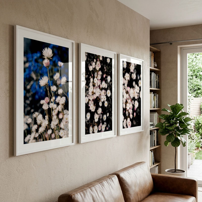 Three framed floral prints on a wall above a sofa with a bookshelf and plant in the background.