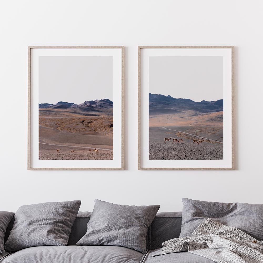 Set of 2 Art Prints - Vicuna Safari I & II Prints
