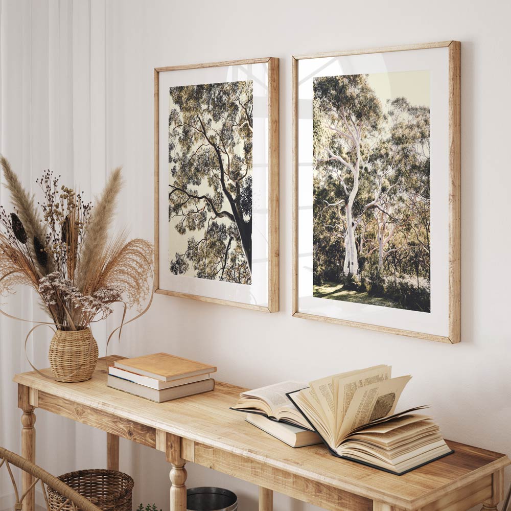 Set of 2 Art Prints - Callala Gums & Under The Gum I