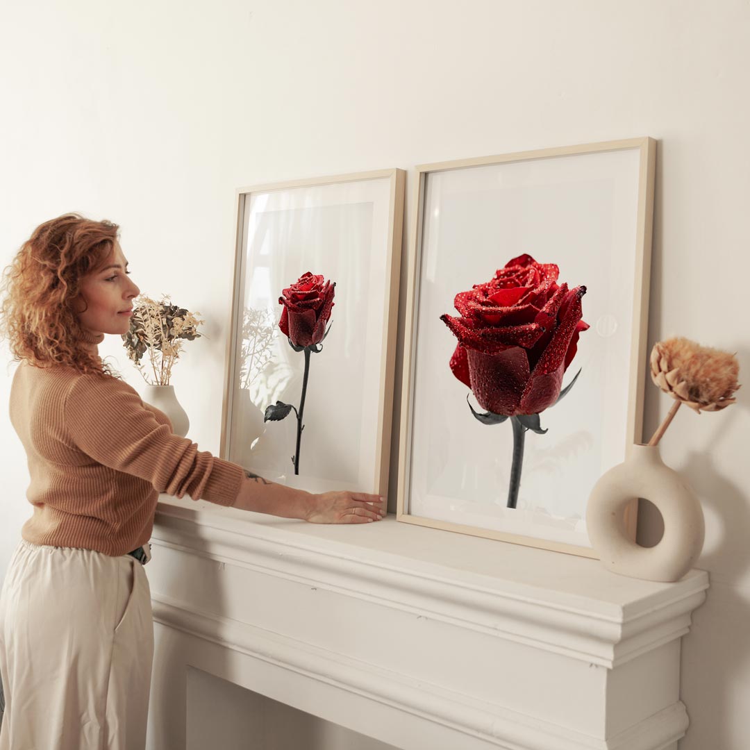 Set of 2 Art Prints - Red Rose in the Rain & Red Rose