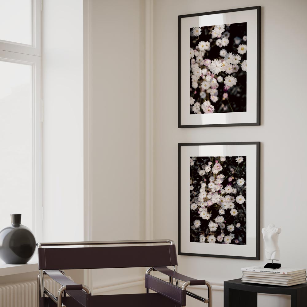 Set of 2 Art Prints - Paper Daisy I & II