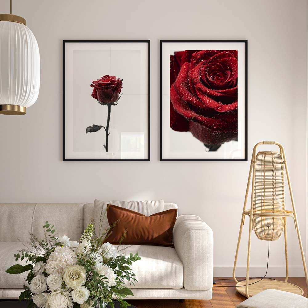 Set of 2 Art Prints - Red Rose in the Rain & Red Rose Rain Drops