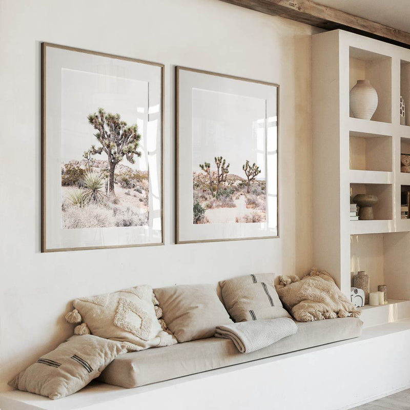 Set of 2 - Joshua Tree & Yukka