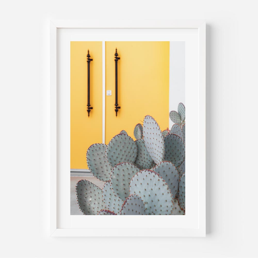 Set of 3 - Blue Door Cactus, Green Door Cactus & Gold Door Cactus