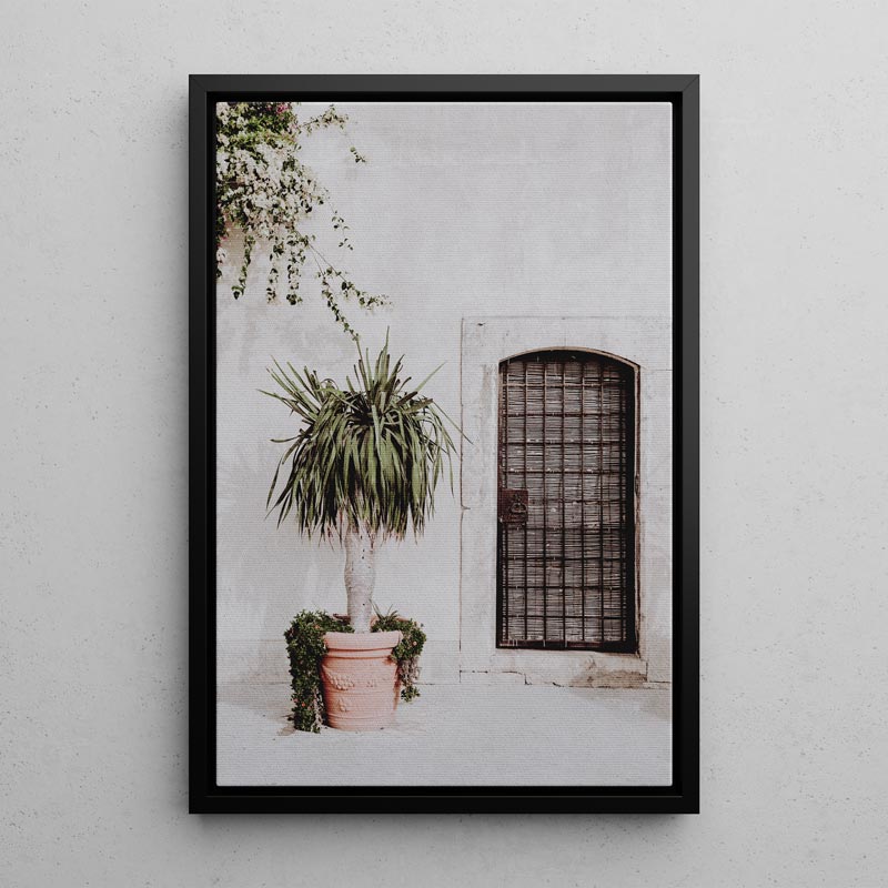 Framed photograph of a potted plant in front of a textured wall with a window.