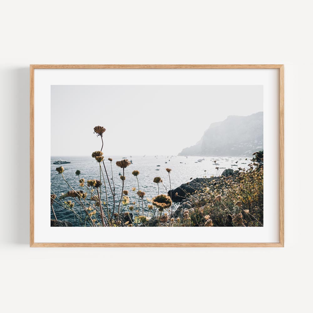 Captivating print of coastal flowers in Capri, Italy, ideal for adding a touch of nature to your wall decor.