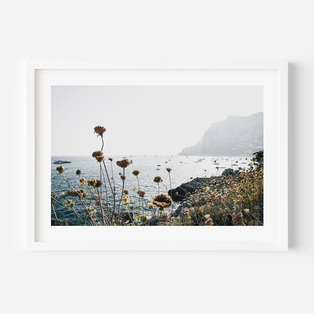  Coastal flowers by the sea in Capri, Italy - wall art print on demand