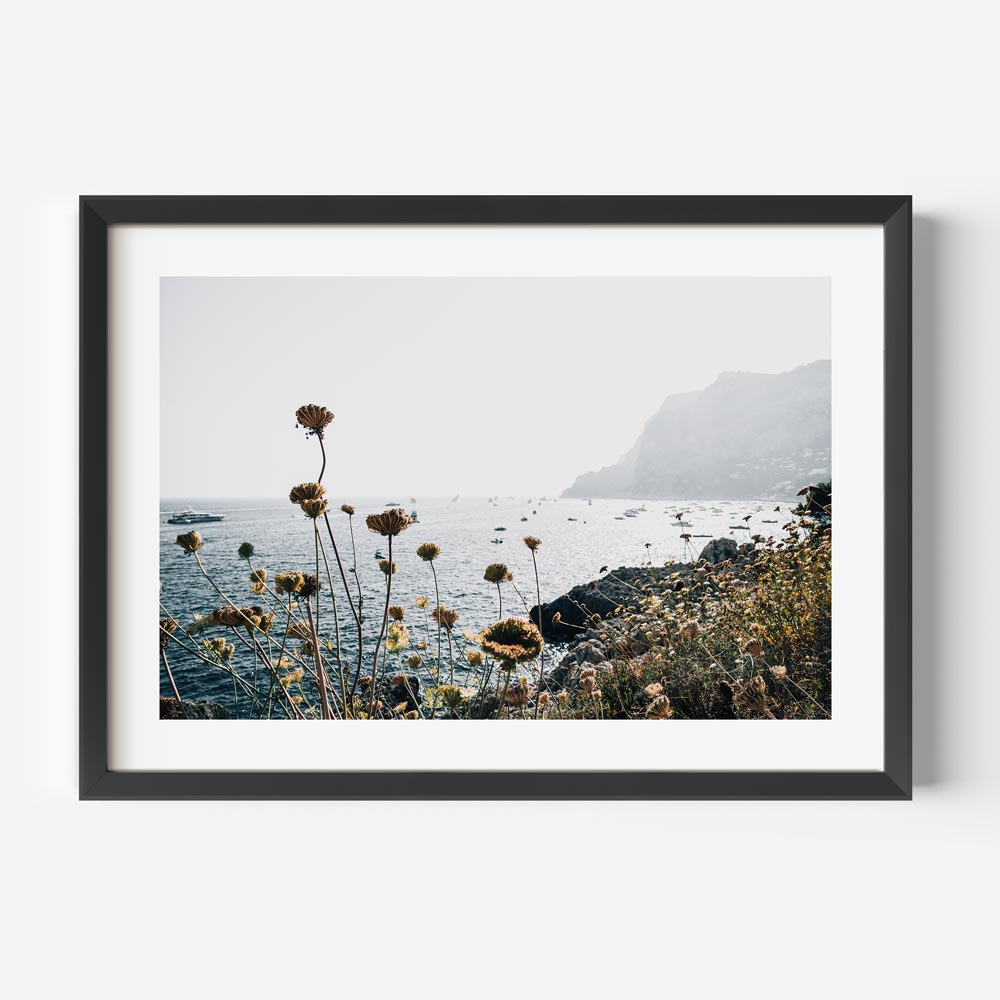 Vibrant print of summer wild flowers by the sea, a stunning addition to any wall art collection.
