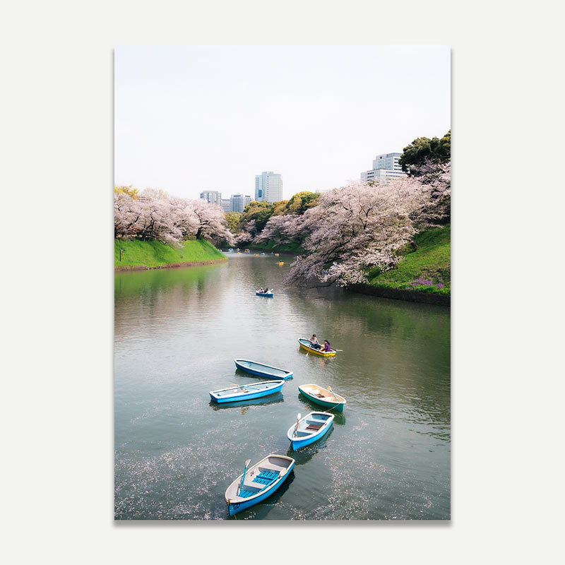 Sakura Drift Art Print