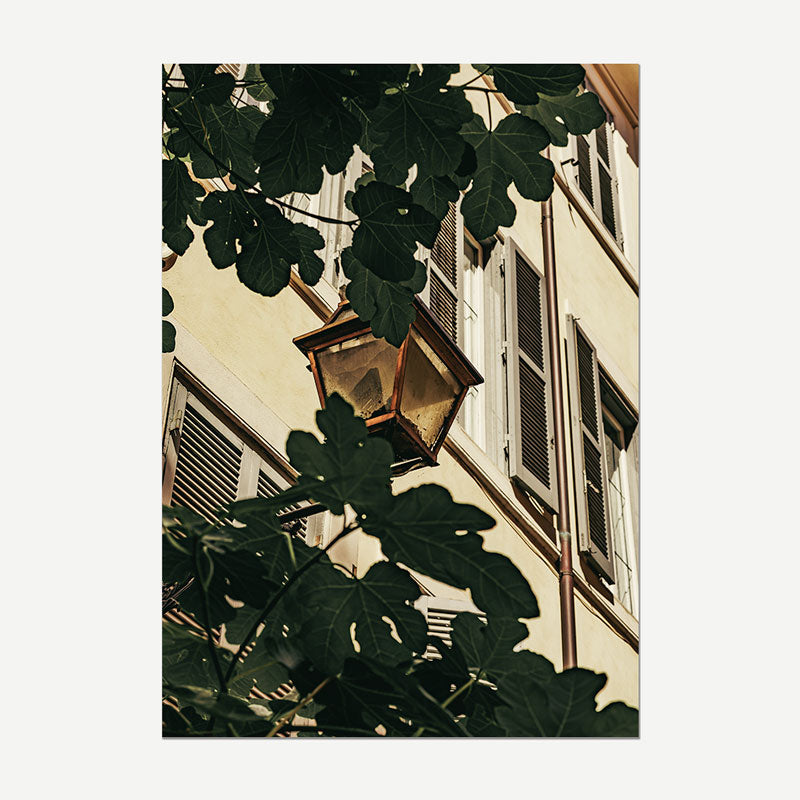 A vertical photographic print of a European-style building facade framed by large green fig leaves and a hanging lantern, shown against a light gray background.