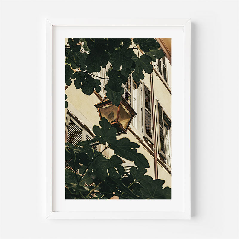 A framed art print featuring a low-angle photograph of a building facade partially obscured by large green fig leaves and a hanging lantern, presented in a white frame against a light gray wall.