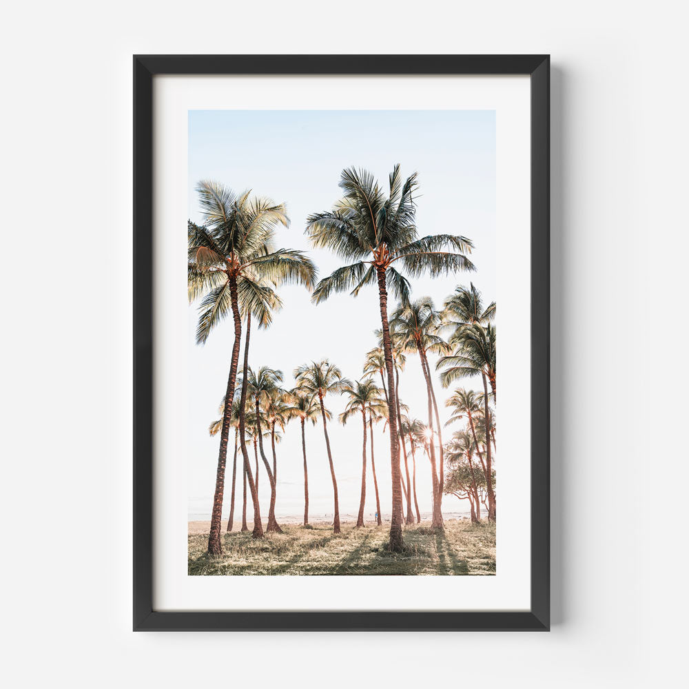 Breathtaking Palm Tree Garden Scene in Waikiki, Hawaii - Enhancing Your Fine Arts Collection for Home Decor.